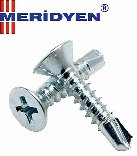 MERİDYEN MATKAP UÇLU VİDA AKILLI VİDA 3,9 X 22 MM ( 25 ADET )